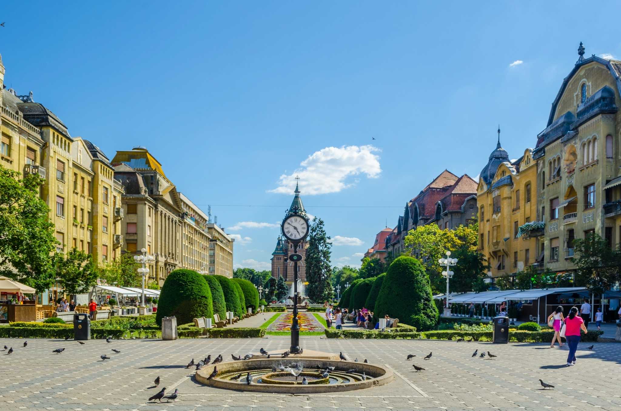 Timisoara