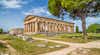 Paestum