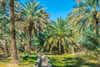 Al Ain