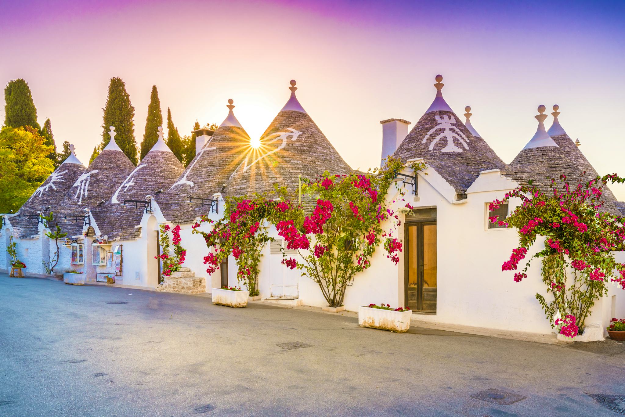Bari to Alberobello: Private day trip