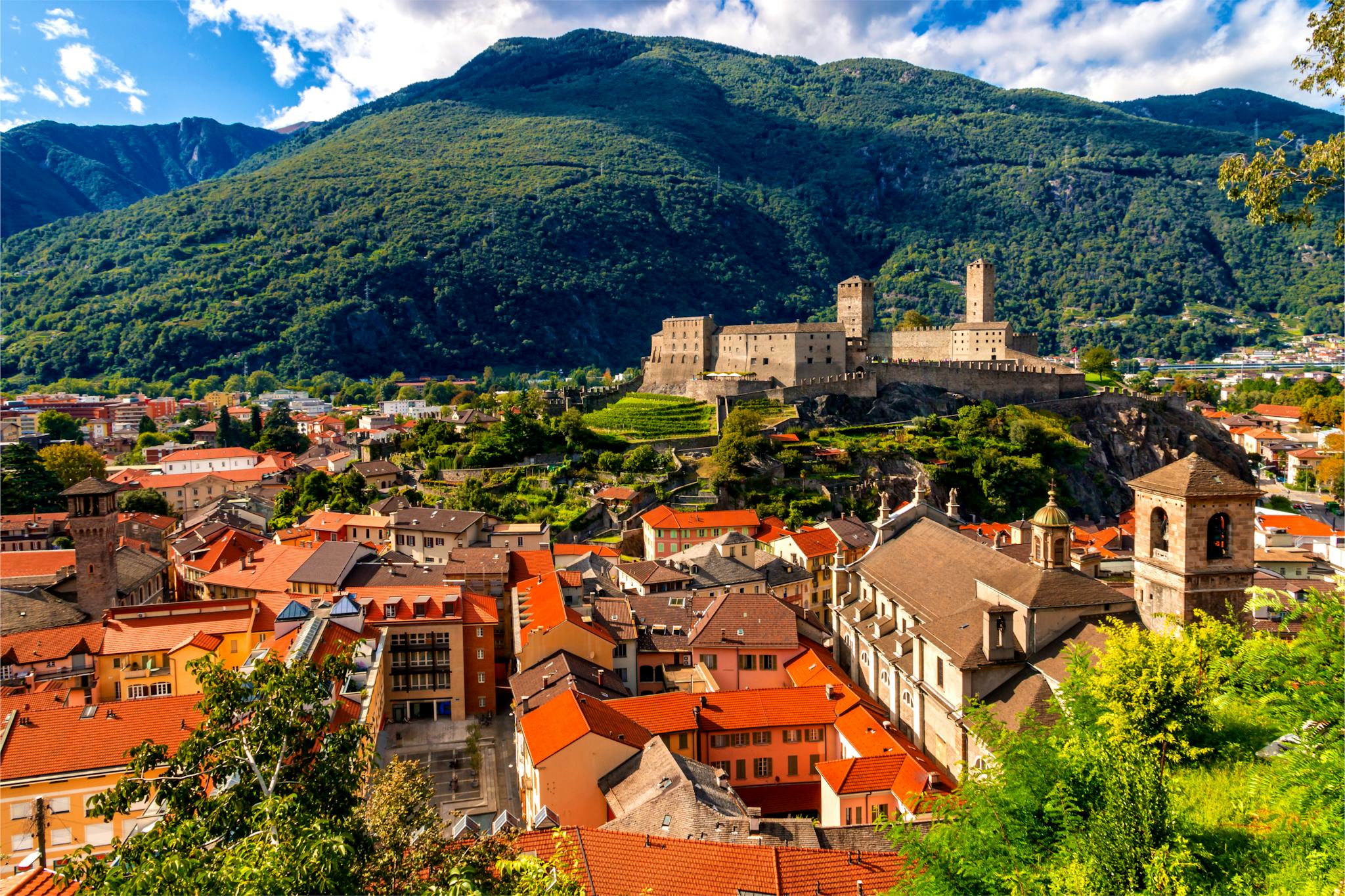 Lucerne to the Ticino region: Private day trip