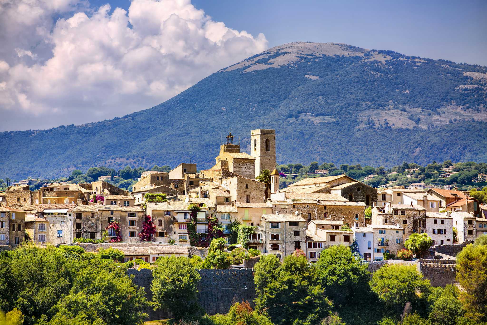 Grasse