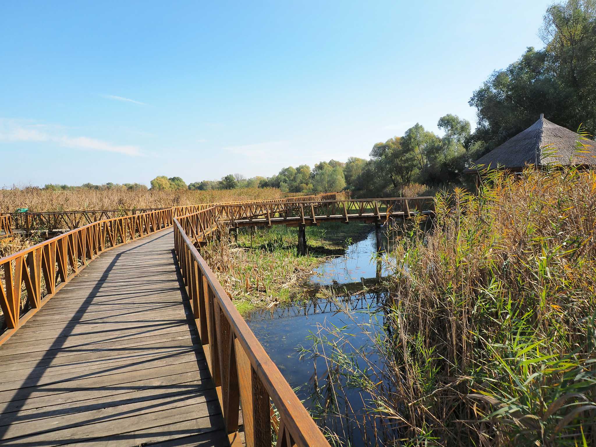 Kopacki Rit Nature Park