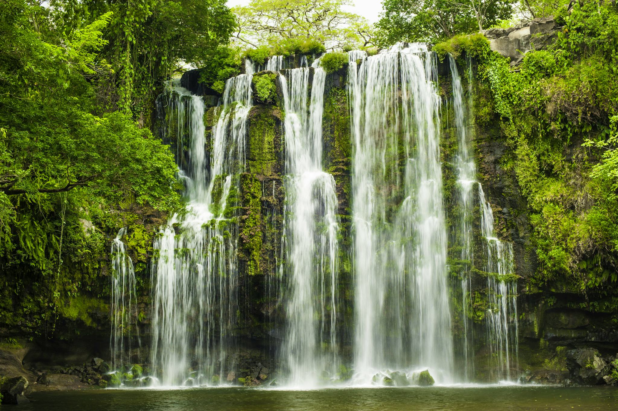 La Fortuna to Cortez and Los Chorros Falls: private day trip