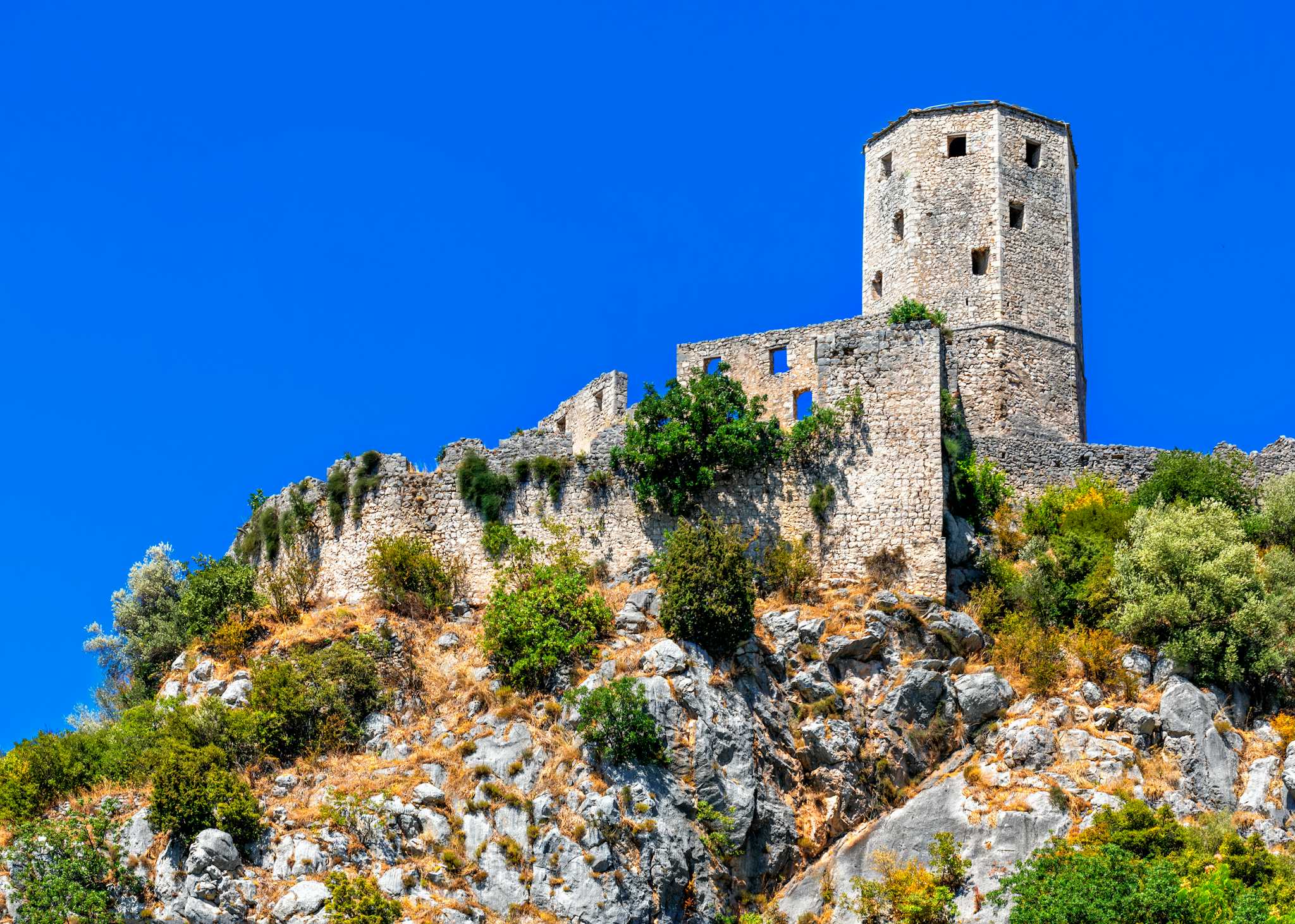 Pocitelj