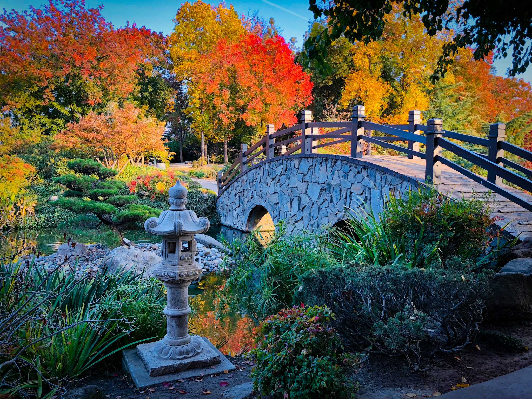 Shinzen Japanese Garden