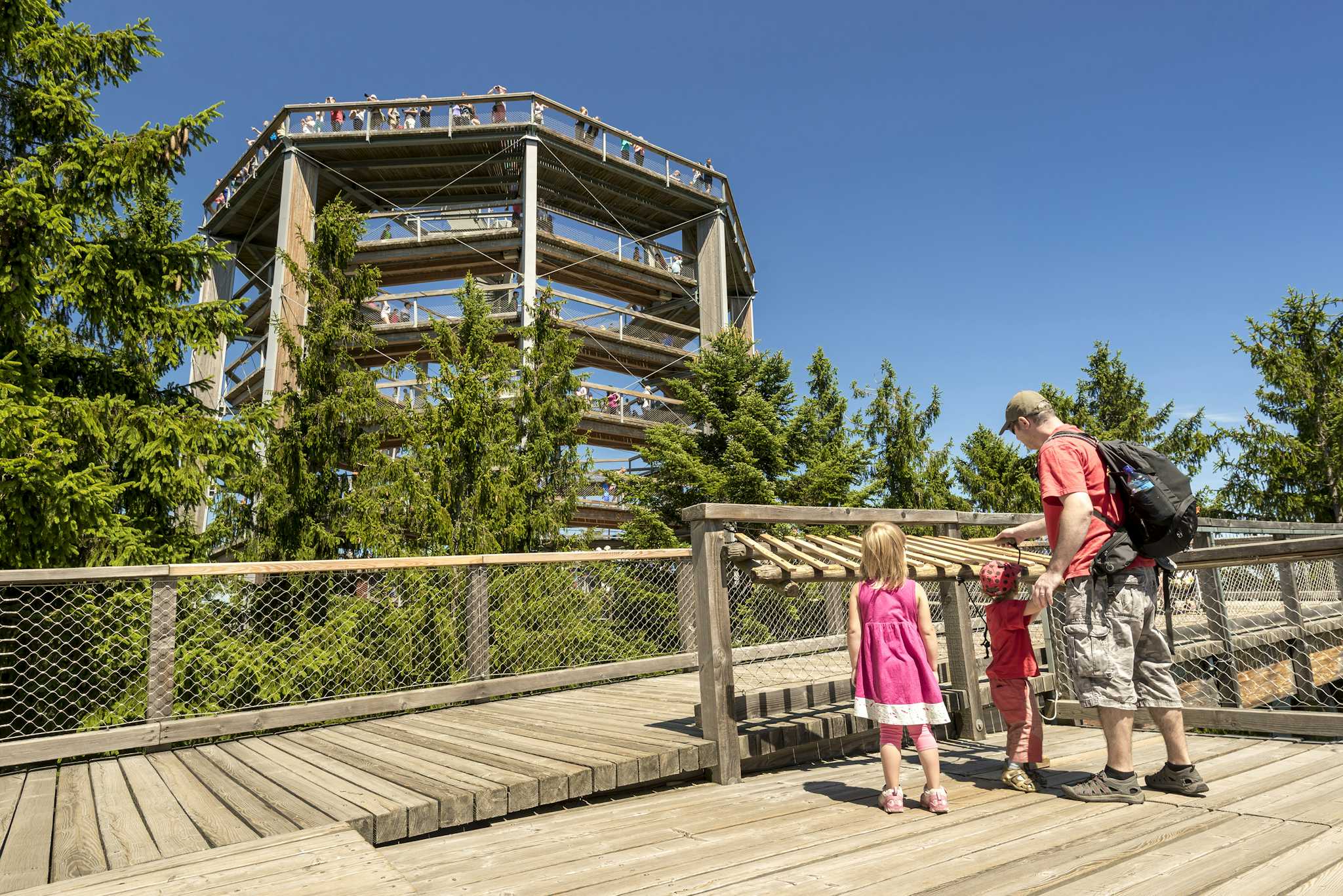 Treetop Walkaway Lipno